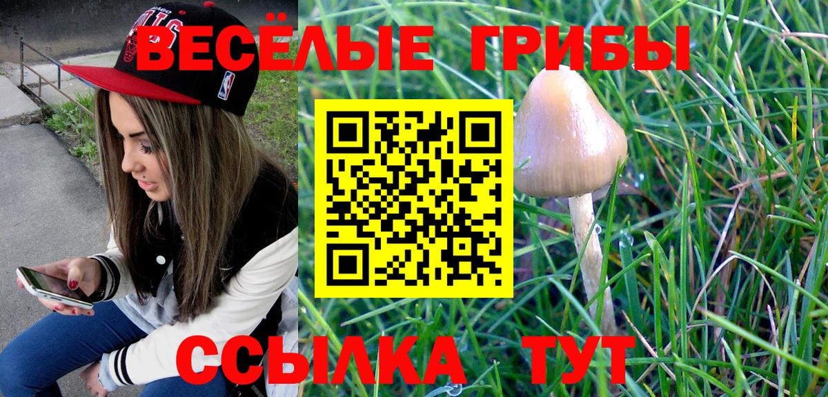 Краснокаменск  Псилоцибиновые грибы MAGIC MUSHROOMS  Вход с VPN 